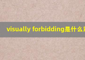 visually forbidding是什么意思